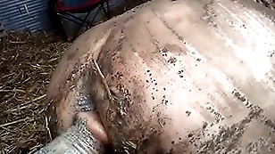 Dirty farmboy
