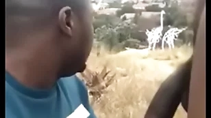 South african outdoor