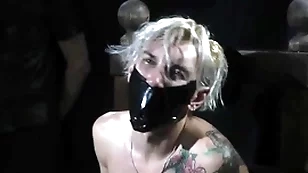 Nicky bondaged and ball gagged
