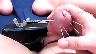 Cock skewering progressive cbt - 7 flappable & cumshot all round squeezed balls