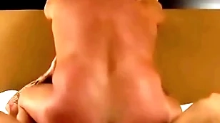 Bear takes hot boy cock