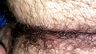 Hairy candid s.
