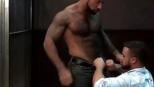 Ragingstallion hairy black investigators sucking some dick