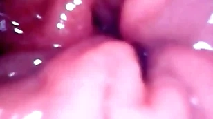 Inside my anal pussy information