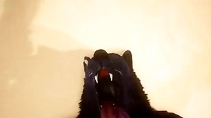 Pov two gay wolves gender - wildlife