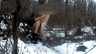 Im wald an der raststätte