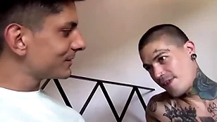 Gender just about the studio owner's - latinblows.com
