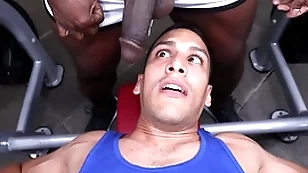 Gaywire - aaron trainer & leo silva bumping uglis in the gym