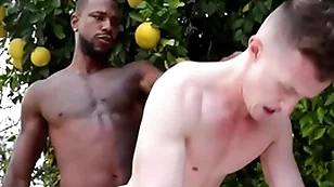 Popular bbc penetrates gay asshole - reign , premises ducati